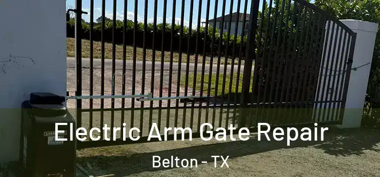  Electric Arm Gate Repair Belton - TX