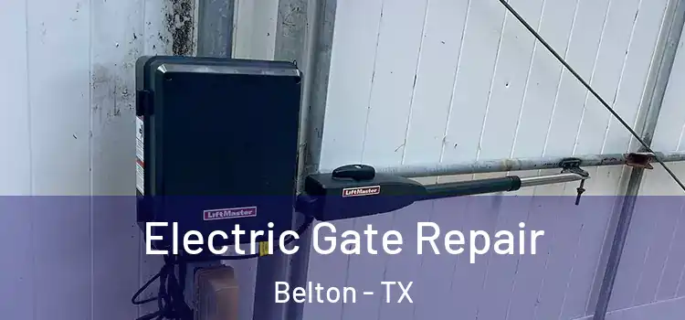  Electric Gate Repair Belton - TX