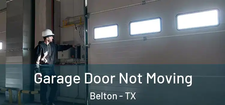  Garage Door Not Moving Belton - TX