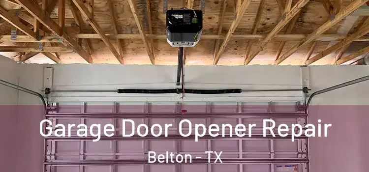  Garage Door Opener Repair Belton - TX