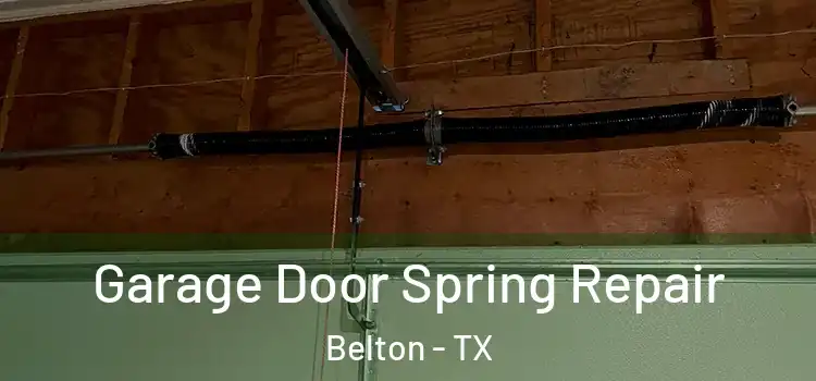  Garage Door Spring Repair Belton - TX