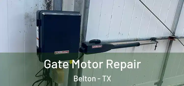  Gate Motor Repair Belton - TX